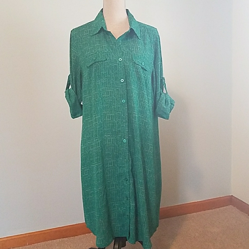 Shirt dress from CAbi.